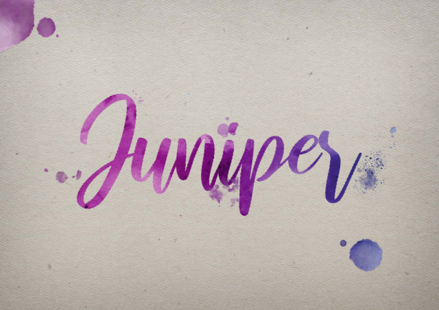 Free photo of Juniper Watercolor Name DP