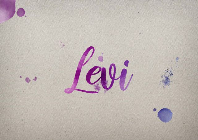 Free photo of Levi Watercolor Name DP