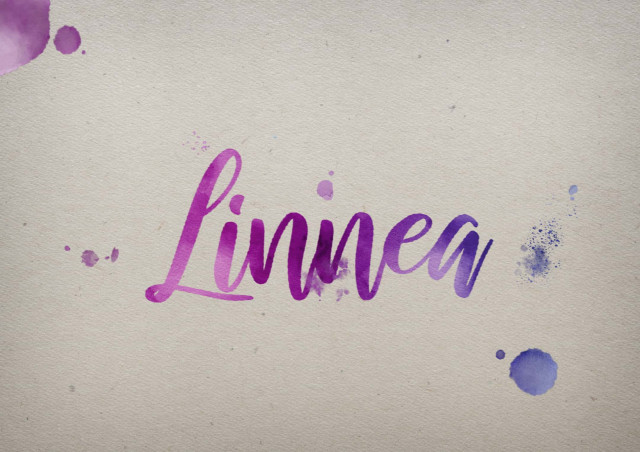 Free photo of Linnea Watercolor Name DP