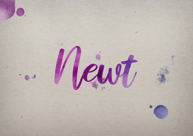 Free photo of Newt Watercolor Name DP