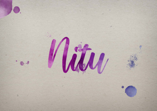 Free photo of Nitu Watercolor Name DP