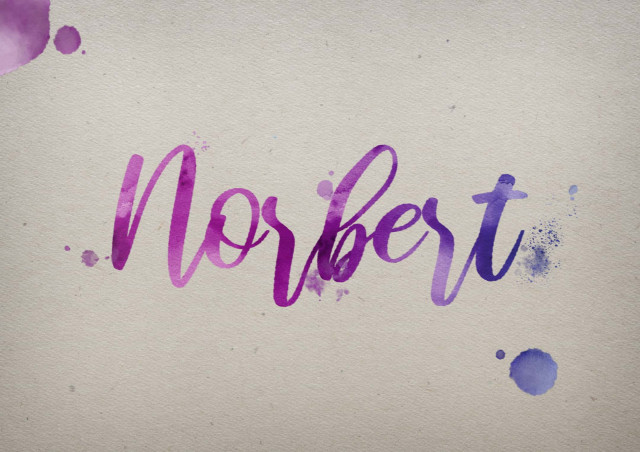 Free photo of Norbert Watercolor Name DP