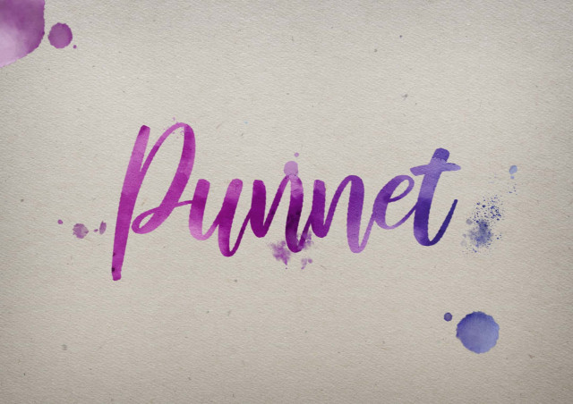 Free photo of Punnet Watercolor Name DP