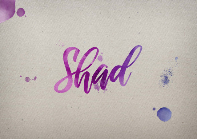 Free photo of Shad Watercolor Name DP