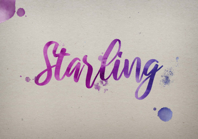 Free photo of Starling Watercolor Name DP