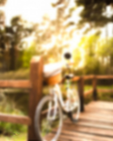 Free photo of Blur CB Editing Background (with Nature and Park)