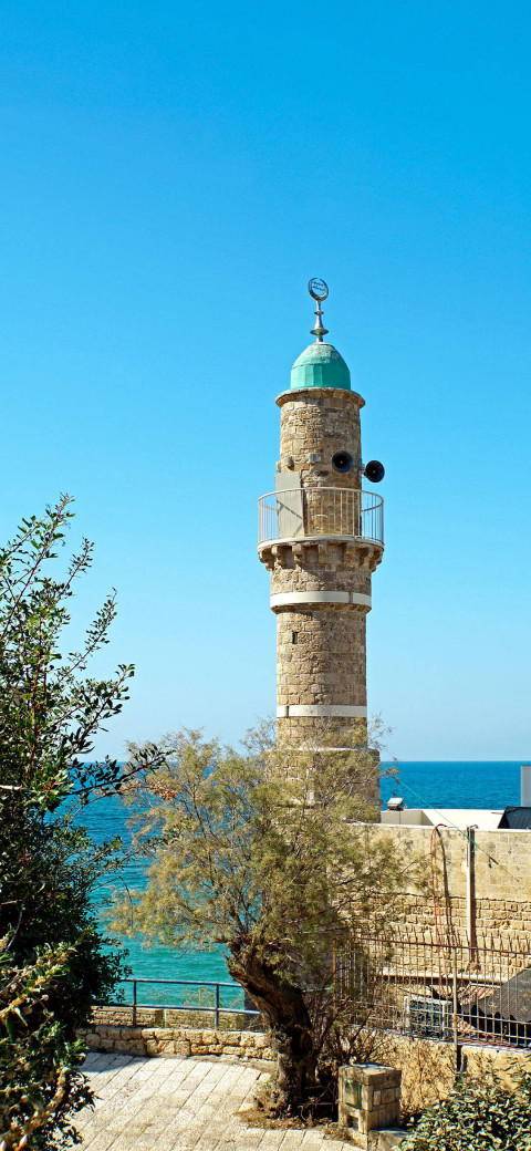 Free photo of Al-Bahr Mosque, Occupied Palestine
