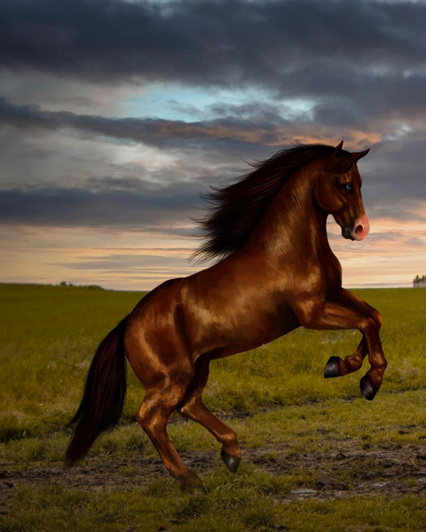 Free photo of CB Editing Background (with Horse and Equestrian)