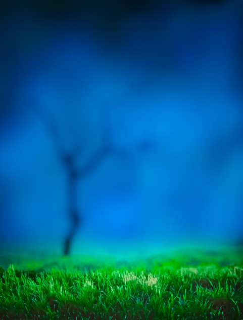 Free photo of CB Editing Background (with Blur and Nature)