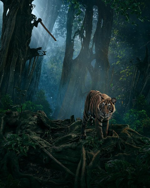 Free photo of CB Editing Background (with Wildlife and Tiger)