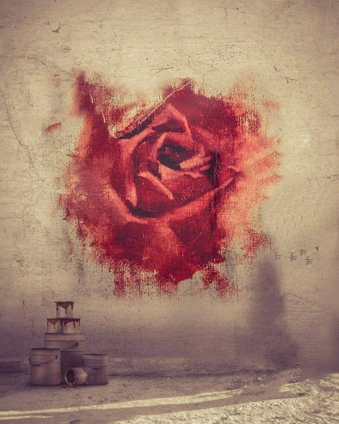 Free photo of CB Editing Background (with Rose and Symbol)