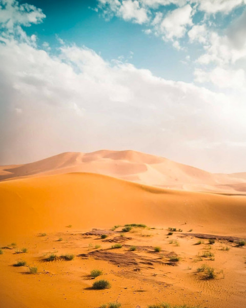 Free photo of CB Editing Background (with Sand and Desert)