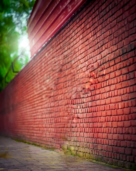 Free photo of CB Editing Background (with Brick and Background)