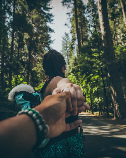 Free photo of holding a woman's hand in the middle of a forest