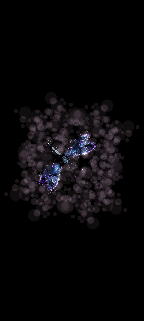 close up of a butterfly on a black background with bubbles