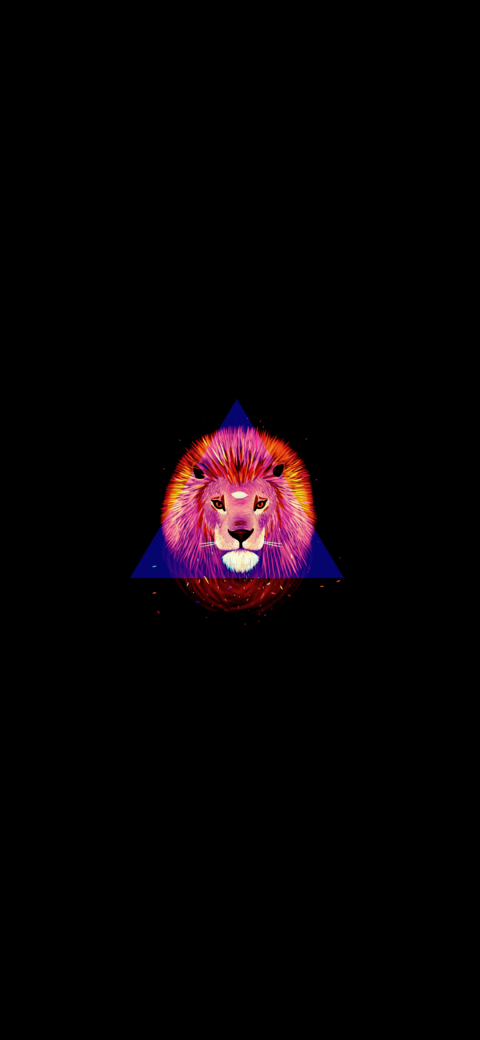 a close up of a lion's face in a triangle