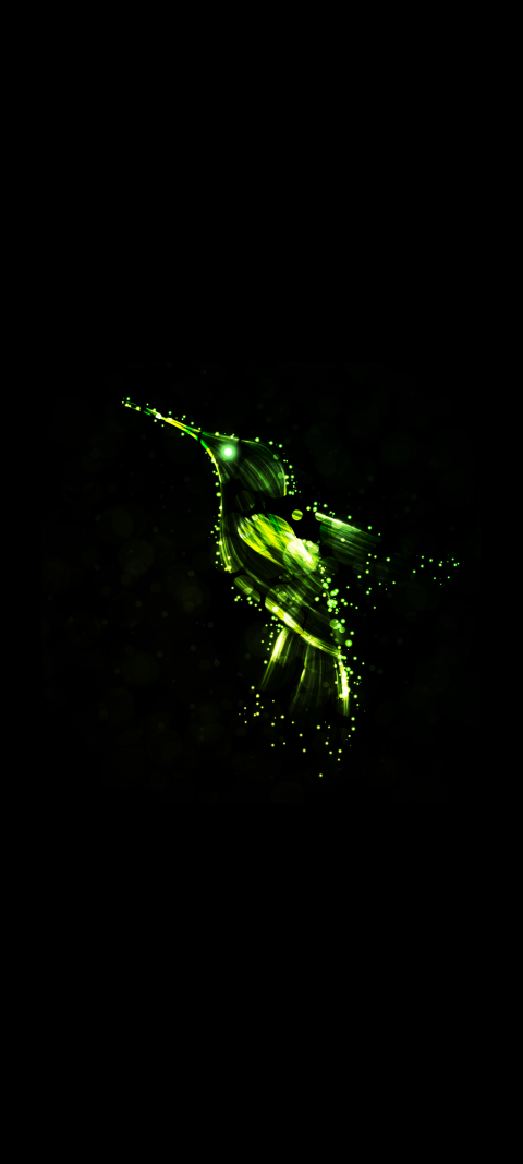 green bird on a black surface