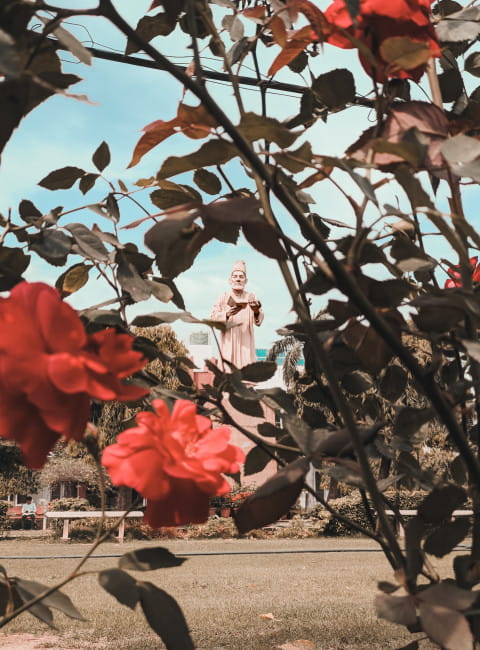 Free photo of Mirza Ghalib Statue, Gulistan-E-Ghalib, Jamia Millia Islamia