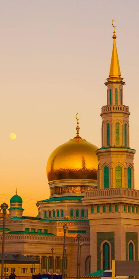 Free photo of Moscow Cathedral Mosque Wallpaper #262