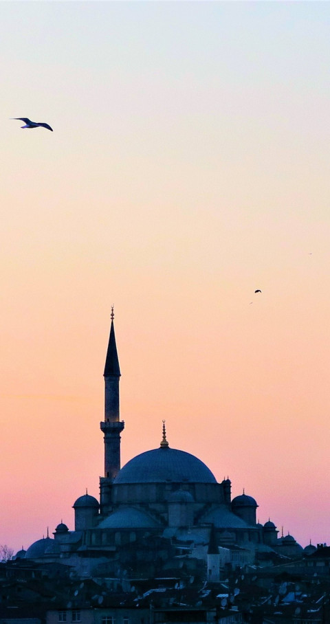 view of a mosque with a bird flying in the sky