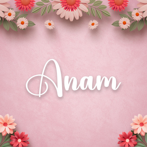 Free photo of Name DP: anam