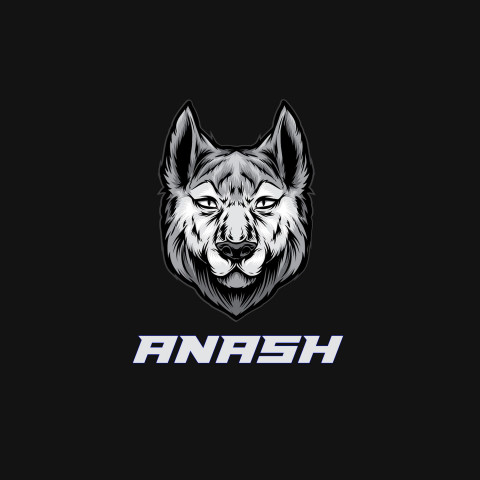 Free photo of Name DP: anash