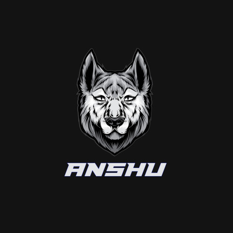 Free photo of Name DP: anshu