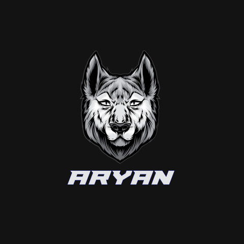 Free photo of Name DP: aryan