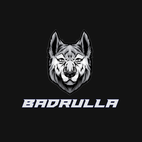 Free photo of Name DP: badrulla