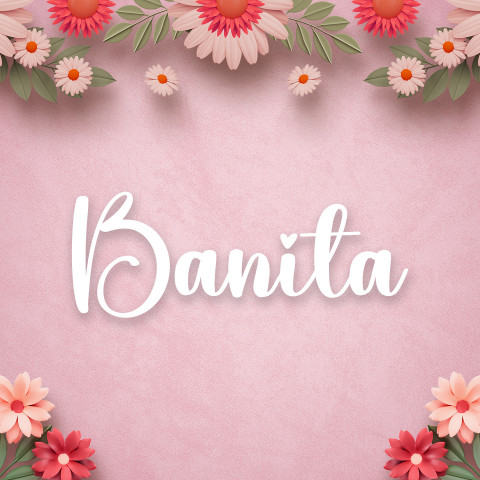 Free photo of Name DP: banita