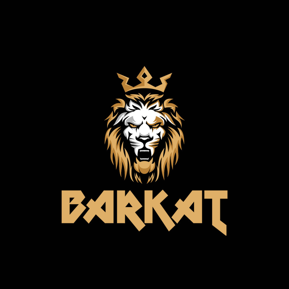 Free photo of Name DP: barkat