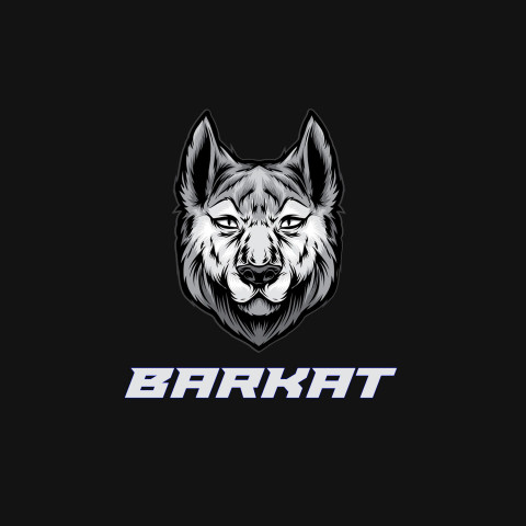 Free photo of Name DP: barkat