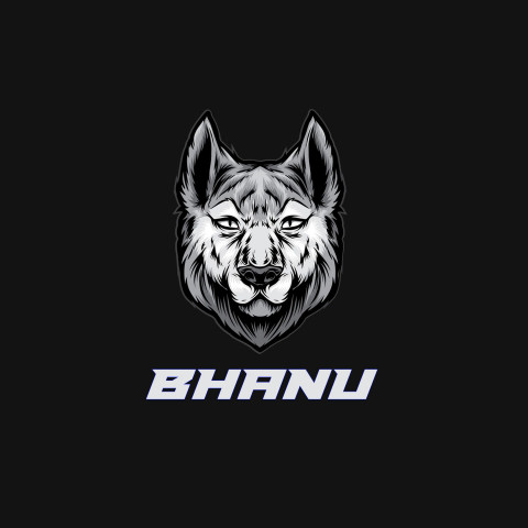 Free photo of Name DP: bhanu