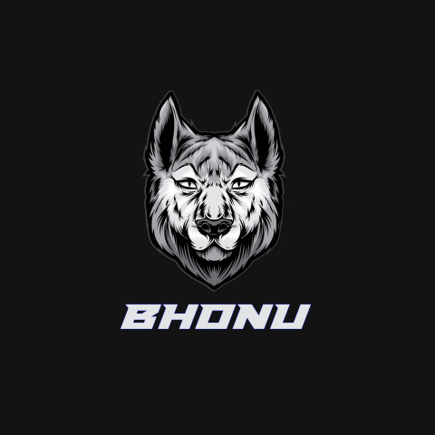 Free photo of Name DP: bhonu