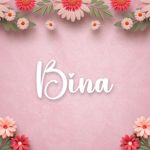 Free photo of Name DP: bina