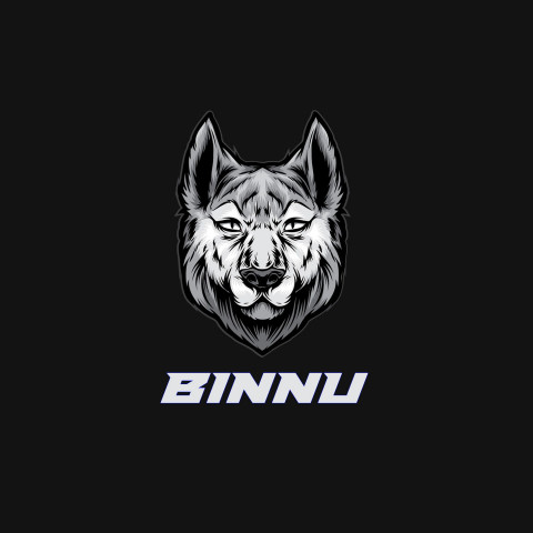 Free photo of Name DP: binnu