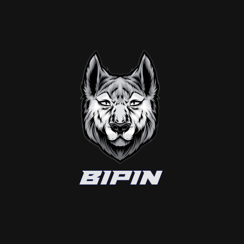 Free photo of Name DP: bipin