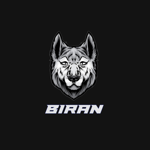 Free photo of Name DP: biran
