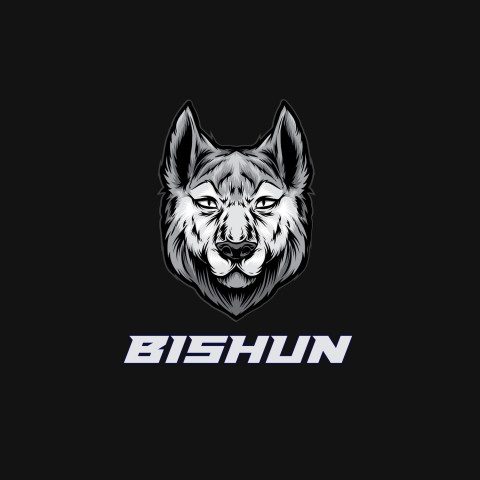 Free photo of Name DP: bishun