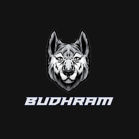 Free photo of Name DP: budhram