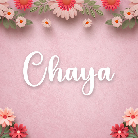 Free photo of Name DP: chaya
