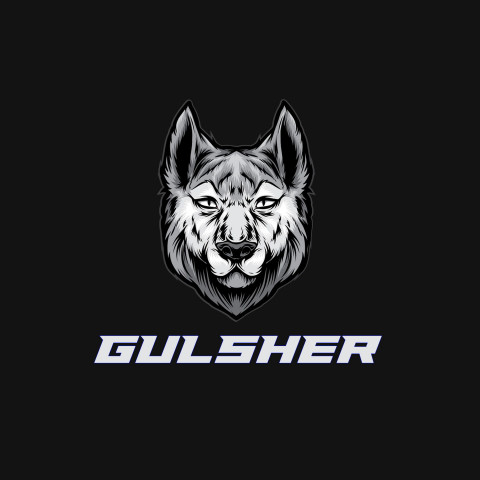 Free photo of Name DP: gulsher