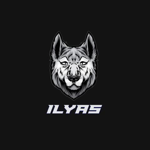 Free photo of Name DP: ilyas