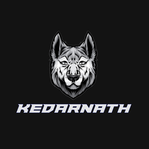 Free photo of Name DP: kedarnath