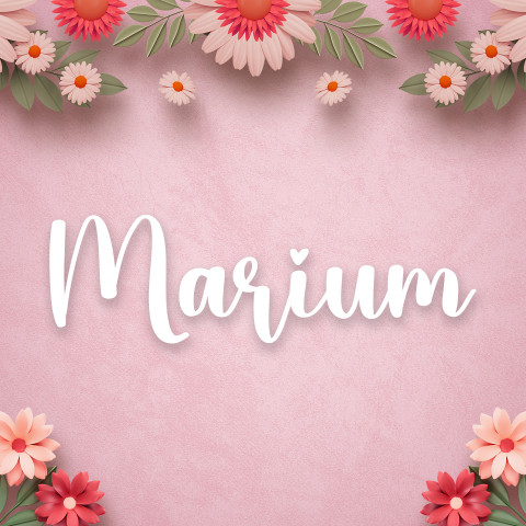 Free photo of Name DP: marium