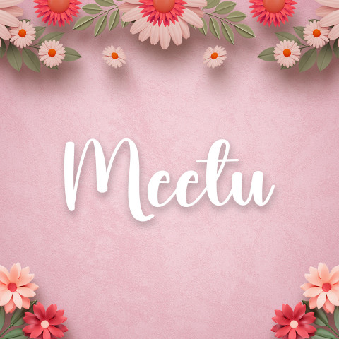 Free photo of Name DP: meetu