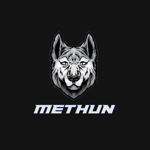 Free photo of Name DP: methun