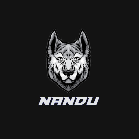 Free photo of Name DP: nandu