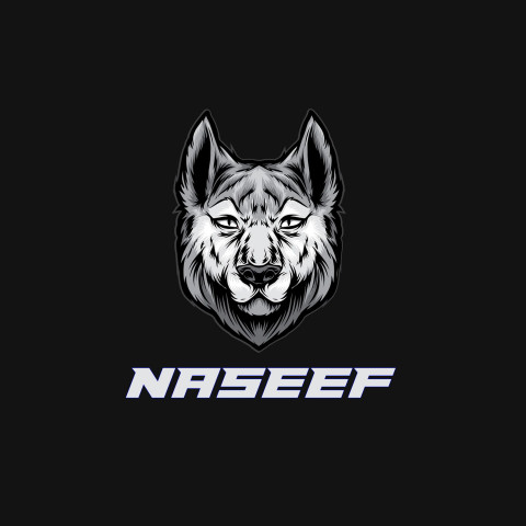 Free photo of Name DP: naseef