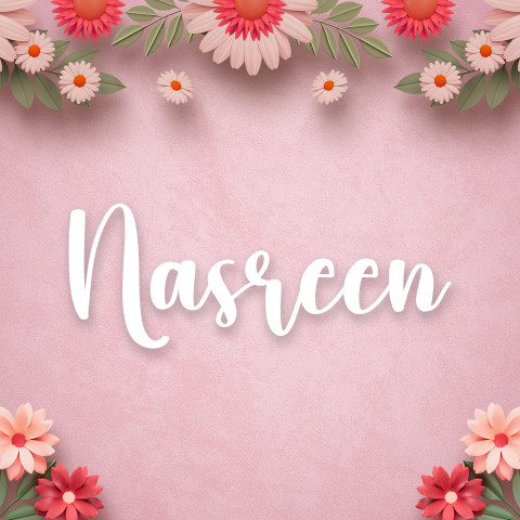 Free photo of Name DP: nasreen